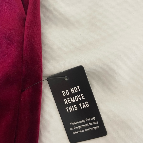 Express Burgandy The Editor Velvet Pants - Picture 5 of 12